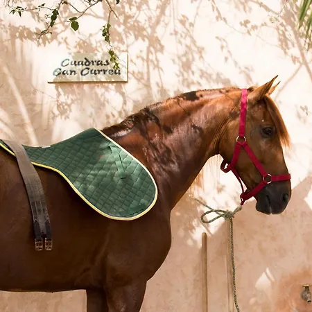 Country house Rural & Curreu