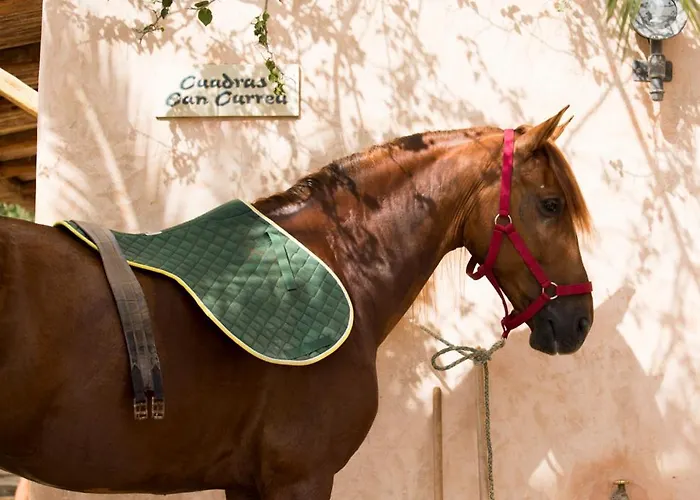 בית כפרי Rural & Curreu